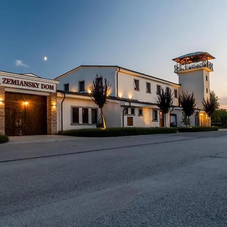 Guest house Penzionzemianskydvor 3*