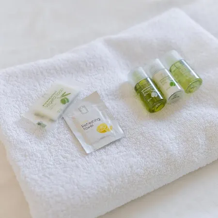 Penzionzemianskydvor Affittacamere 3*